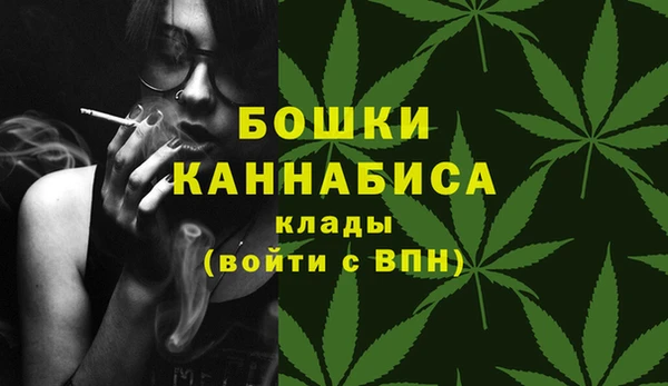 индика Билибино