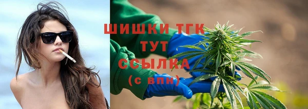 индика Билибино