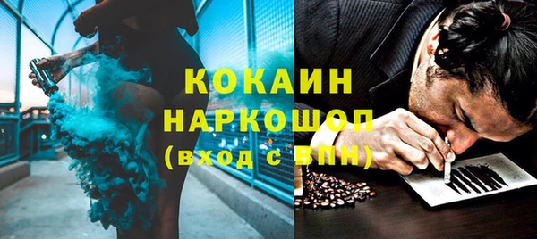 индика Билибино