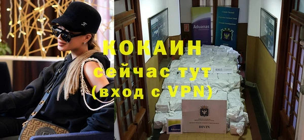 индика Билибино