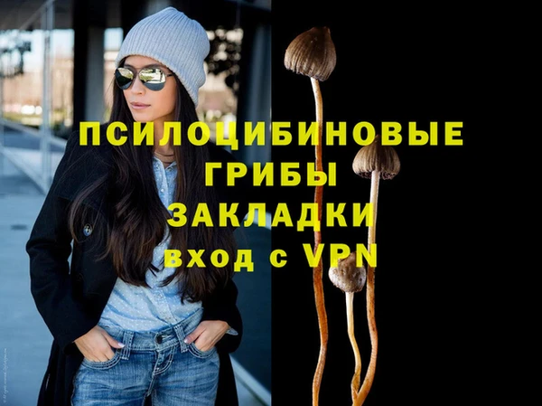 не бодяженный Бикин