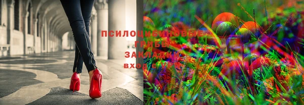не бодяженный Бикин